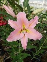 [5580 VH10 No02.JPG]